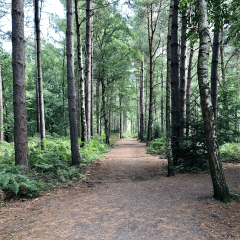 Wander around in the glorious South Downs National Park, based on your doorstep