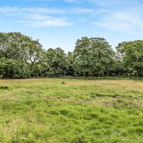 Admire the vast expanses and lush green landscapes surrounding you