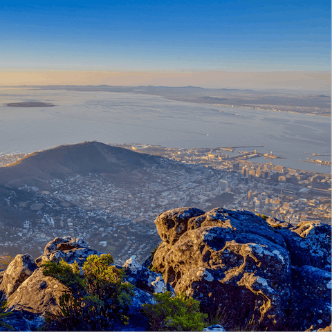 Drink in the incredible views from Table Mountain – you need only drive ten minutes