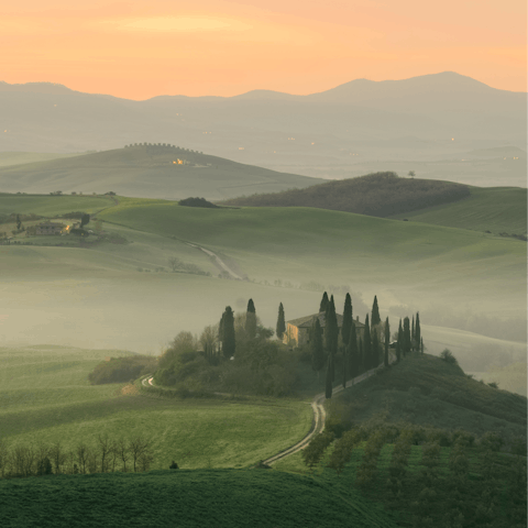 Explore the Maremma area of Tuscany, including Campagnatico and Montalcino