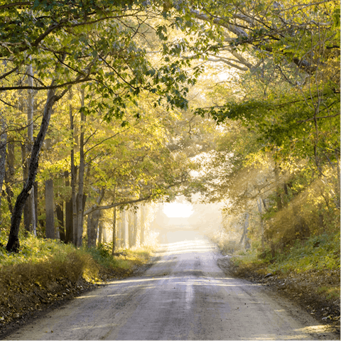 Stay in the Forest of Dean with all of its walking and cycling opportunities