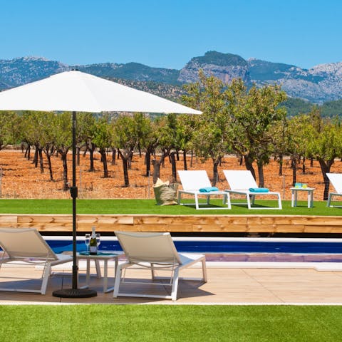 Drink in the Sierra de Tramuntana vistas from your sun lounger