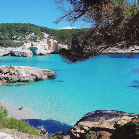 Discover blissful beaches, like nearby Cala Mitjana
