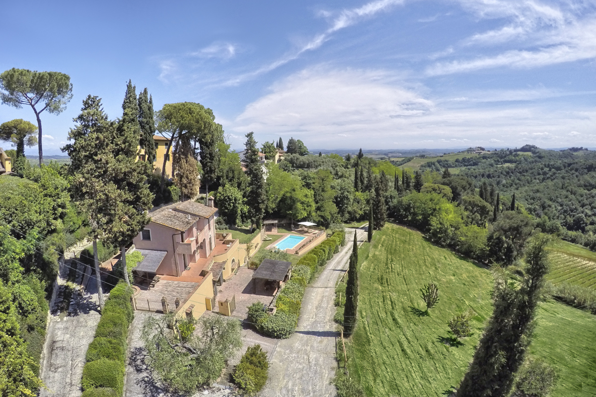 Tuscan vines clearance