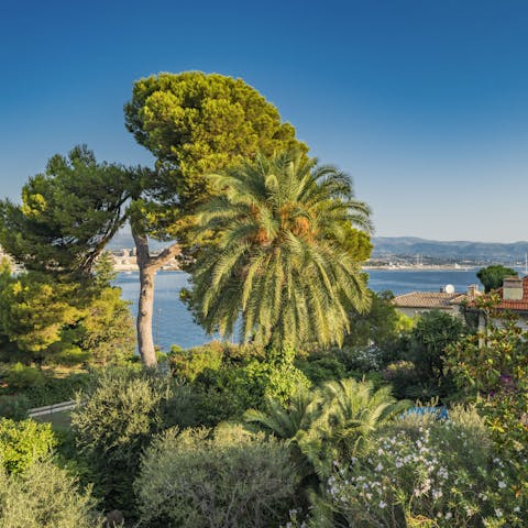 Take a stroll along the Cap D'Antibes coast and beaches