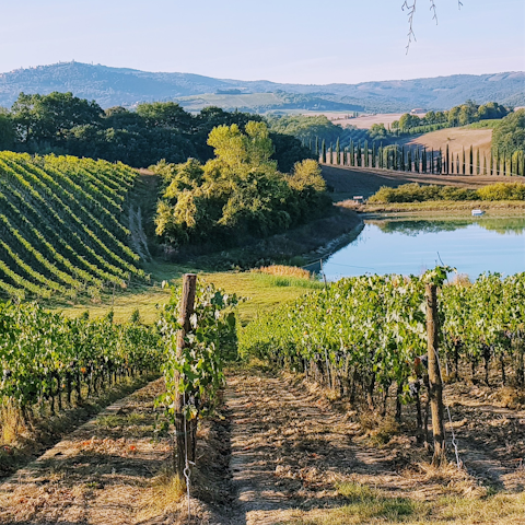 Stay in the heart of the Chianti wine region