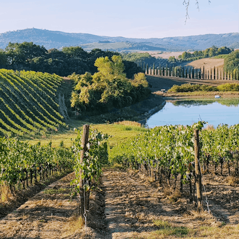 Stay in the heart of the Chianti wine region