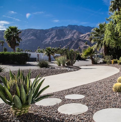 Appreciate unobstructed views of  Mt. San Jacinto