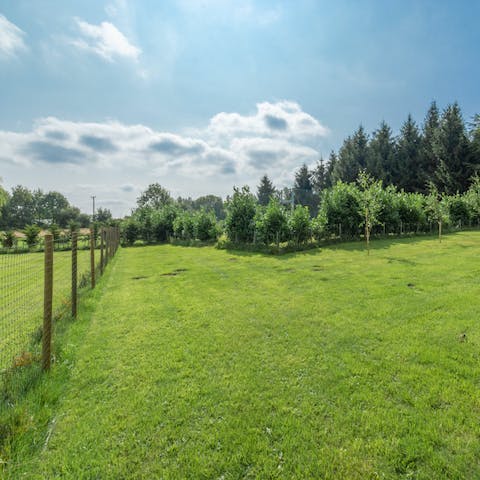 Hike and bike through the surrounding East Anglian countryside