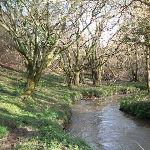 Go for a stroll around the six acres of pretty woodland that surrounds the barn