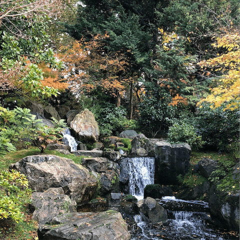 Take a trip to Holland Park to experience some calm in the city