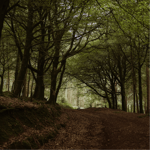 Woodland walks await in nearby French Weir Park –⁠ just fifteen minutes on foot