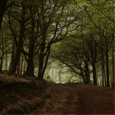 Woodland walks await in nearby French Weir Park – just fifteen minutes on foot