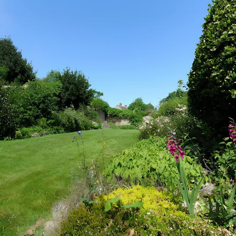 Relax in the Dorset sun in the cottage garden