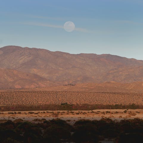 Hike the nearby San Jacinto Mountains for a spectacular view of the city