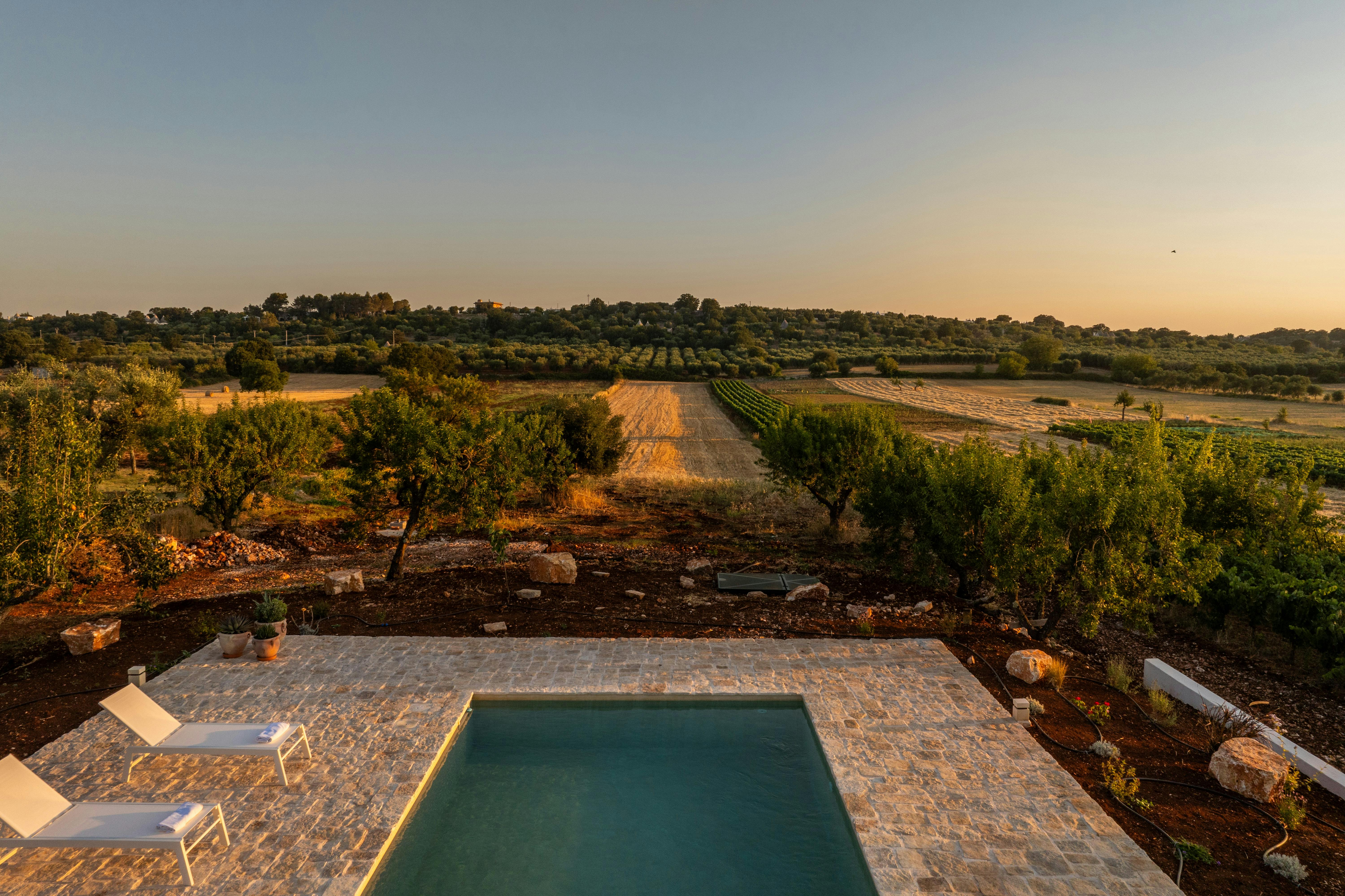 Trulli & Walnut Tree