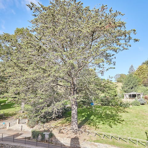 Enjoy a sunset stroll through Pannett Park, just across the street