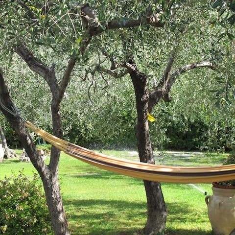 Enjoy a midday snooze on the hammock under the shade of the trees