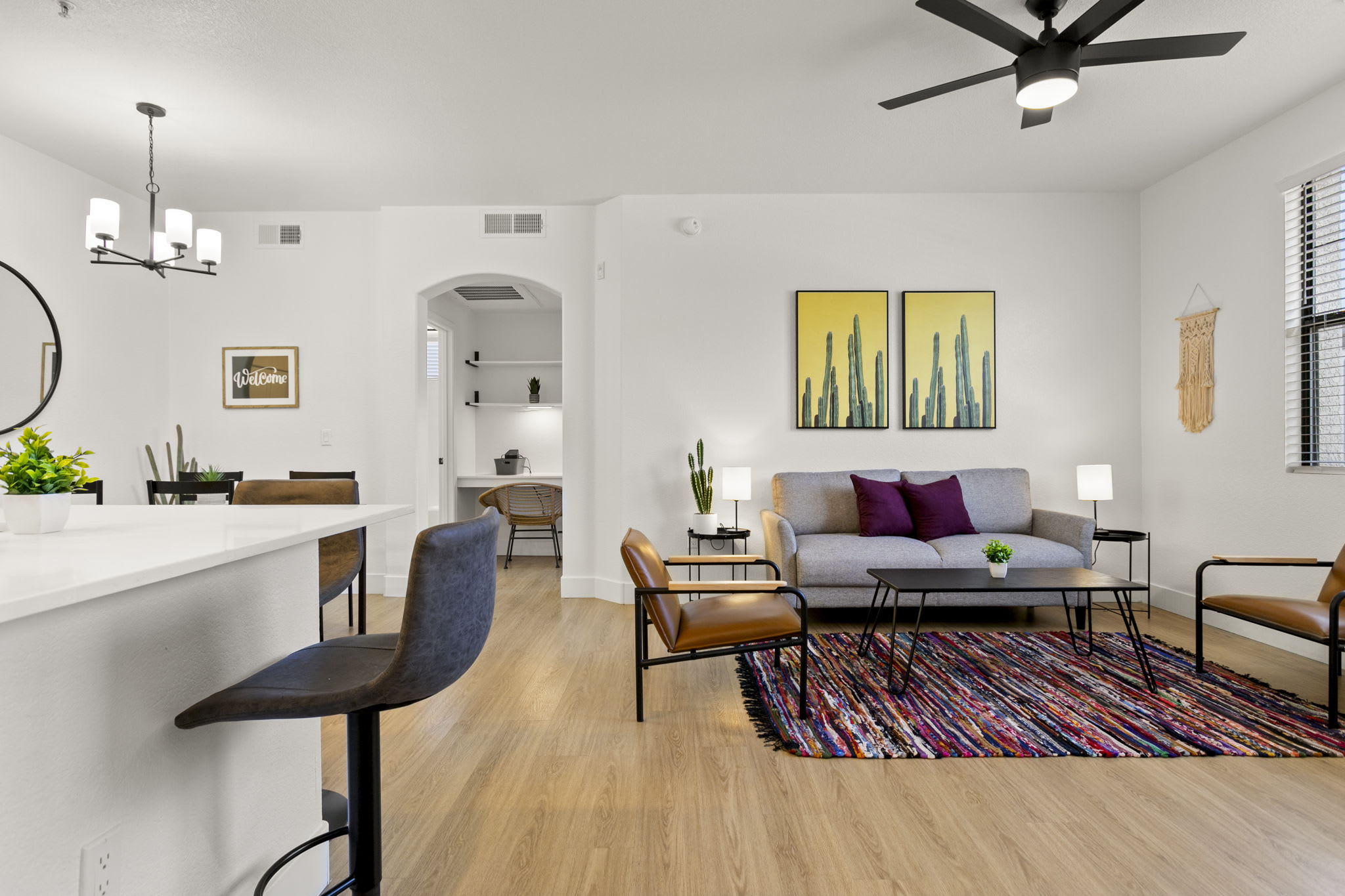 Sonoran Light