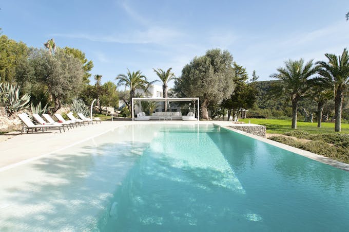 Pure Oasis