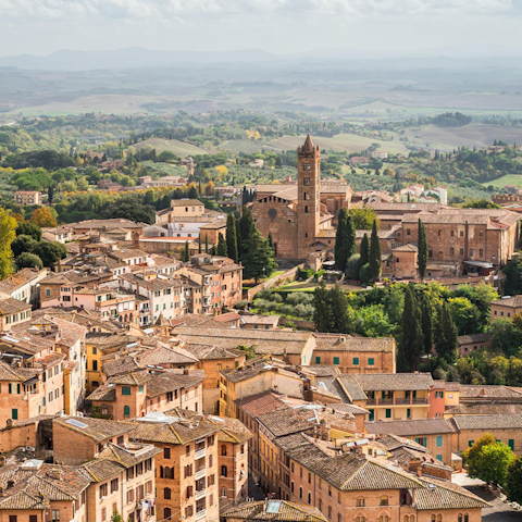 Explore the famous medieval village of Castagneto Carducci, about 4 kilometres away