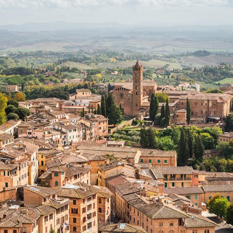 Explore the famous medieval village of Castagneto Carducci, about 4 kilometres away