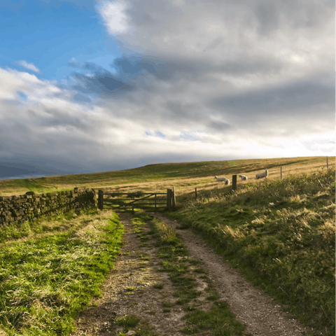 Drive just a few miles to Sutton Bank for wonderful views and walking trails