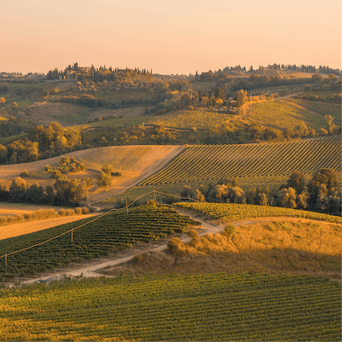 Head out in the car and discover Tuscany's hidden gems