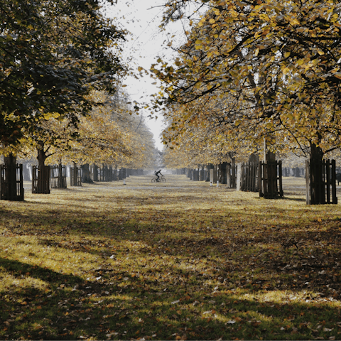 Connect with nature at Bushy Park, right on your doorstep