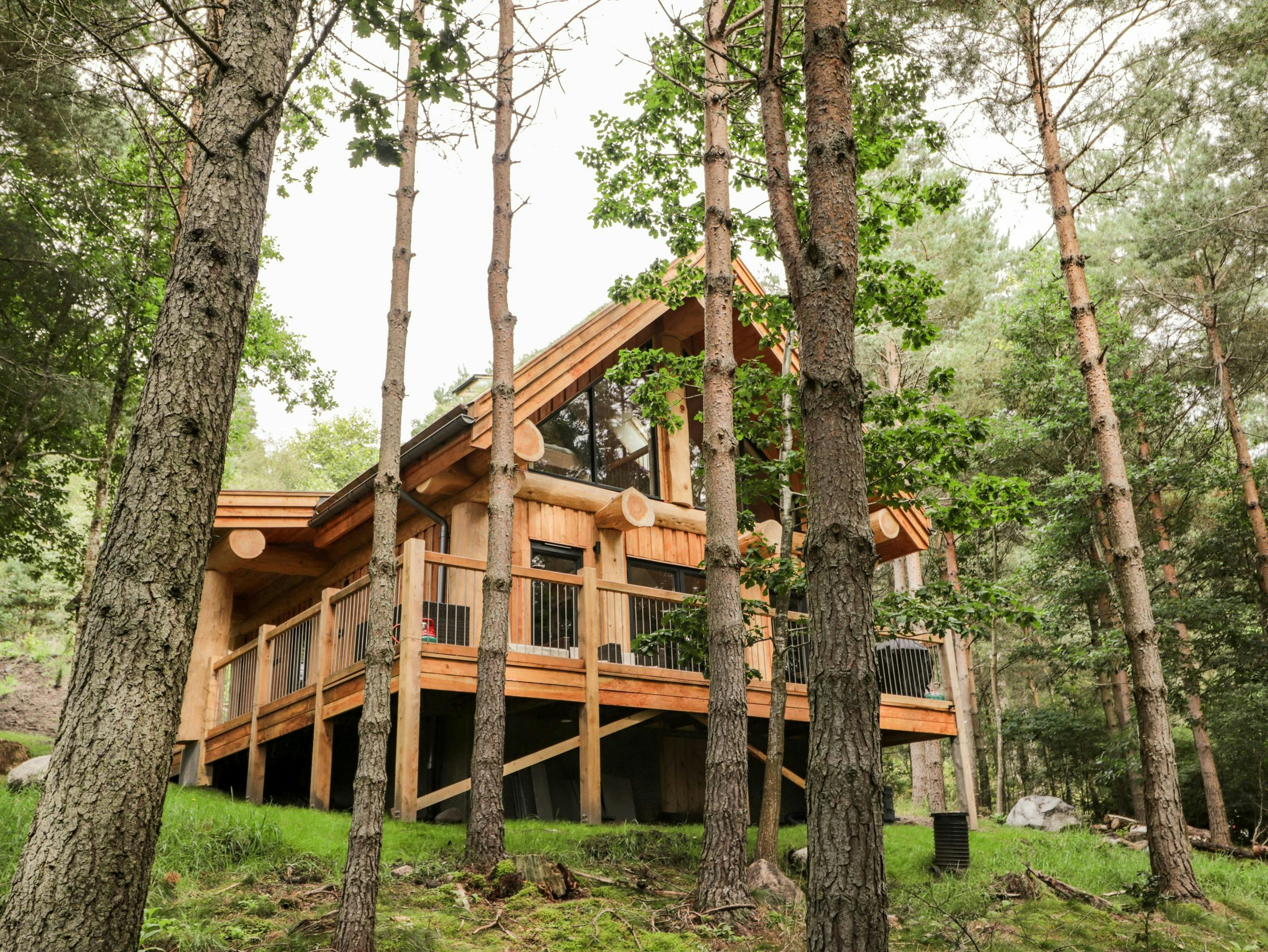 Woodland Serenity