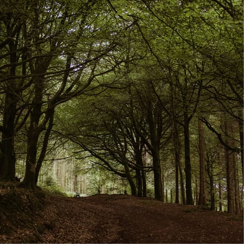 Follow footpaths across the fields and wander through ancient woodlands on countryside rambles