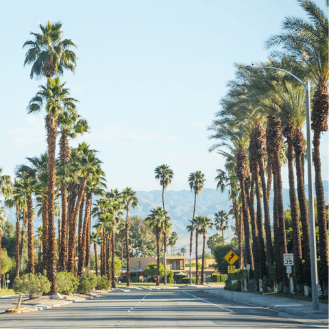 Soak up the atmosphere of the Coachella Valley
