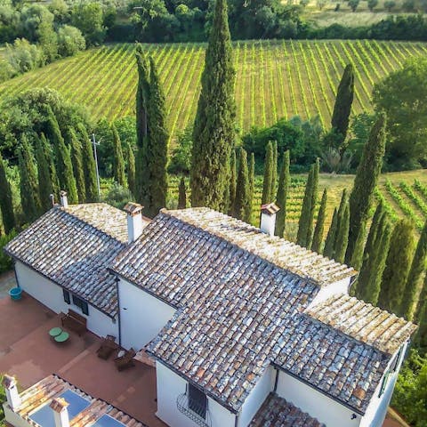 Stay in a peaceful former farmhouse surrounded by vineyards