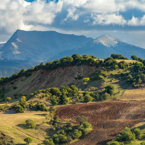 Explore the hills of rural Pisa, on the Peloponnese