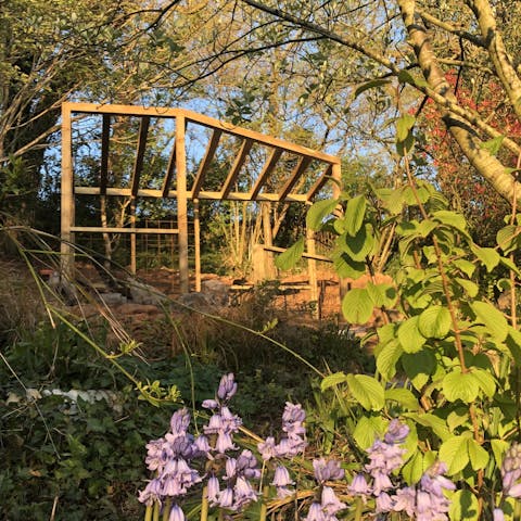 Enjoy afternoon tea in the Pergola