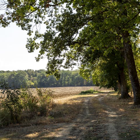 Get lost exploring the six acres of idyllic parkland