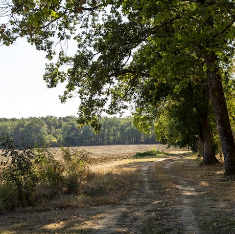Get lost exploring the six acres of idyllic parkland