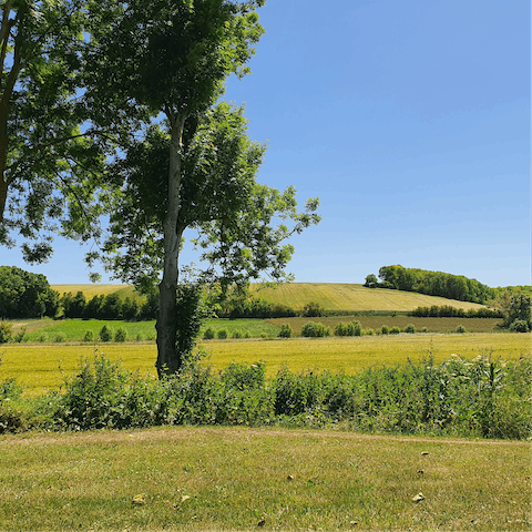Wander through the gardens decorated in unique plant life