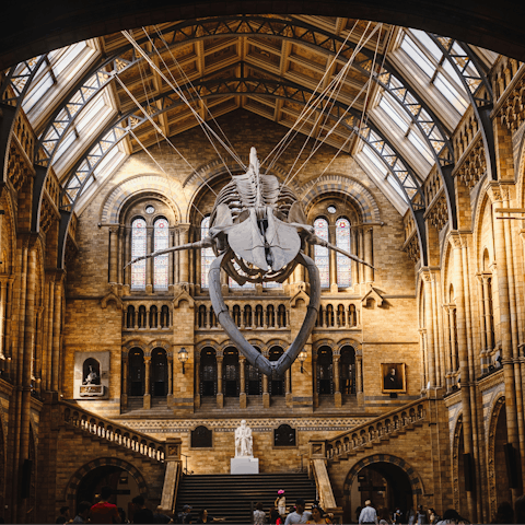 Spend an inspiring afternoon in the Natural History Museum