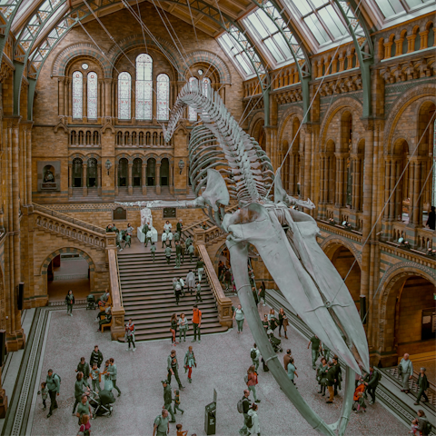 Visit the iconic Natural History Museum, a must-see in London