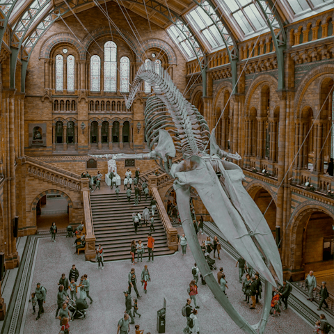 Visit the iconic Natural History Museum, a must-see in London