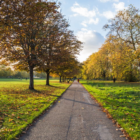 Explore everything Hyde Park has to offer