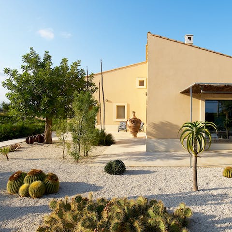 Soak up some rays in the peaceful cactus garden