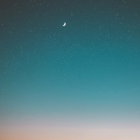 Stargaze into the night