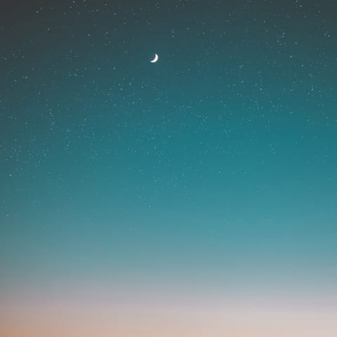 Stargaze into the night