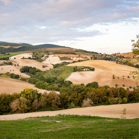 Explore the local La Marche countryside