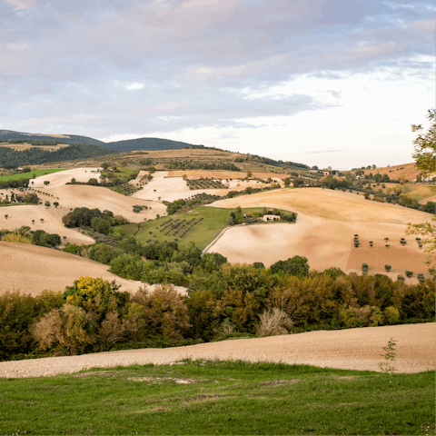Explore the local La Marche countryside