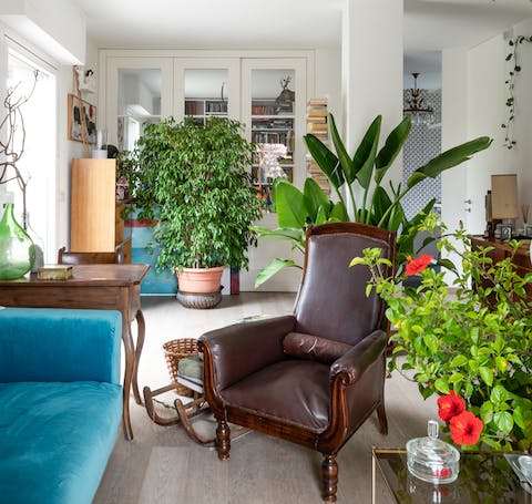 The indoor jungle