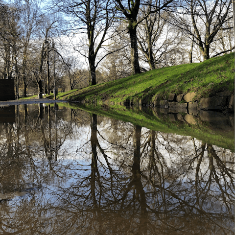 Go for scenic walks around the beautiful landscape