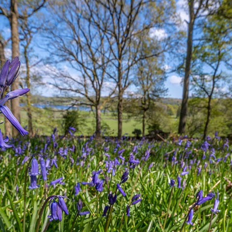 Take a stroll through the gorgeous countryside starting from your front door